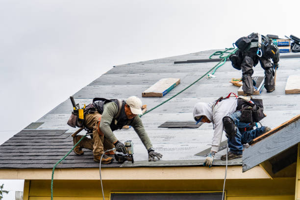 Professional Gutter Installation technician working in Alamo, TN